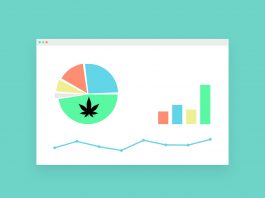 10 Simple Steps for Successful Cannabis Branding